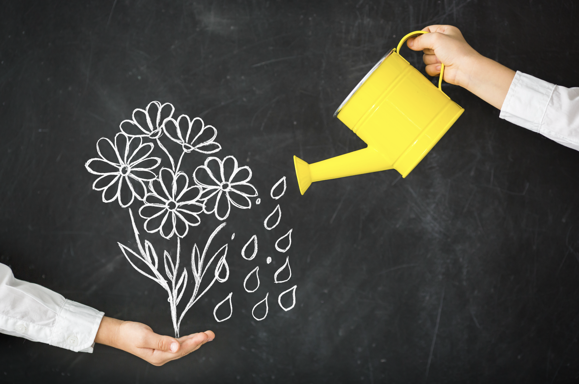 Coaching Oncologico: Un Alleato Prezioso per chi vive uno scenario di malattia